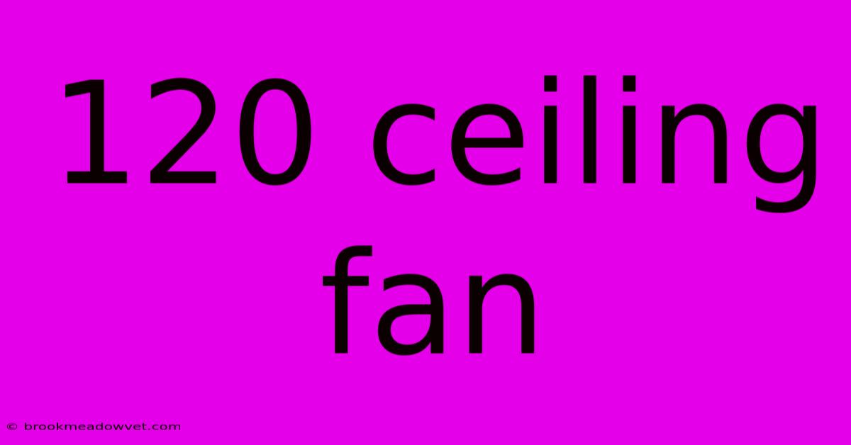 120 Ceiling Fan