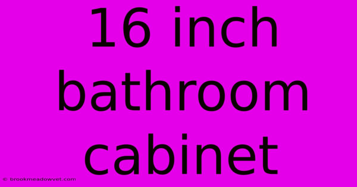 16 Inch Bathroom Cabinet