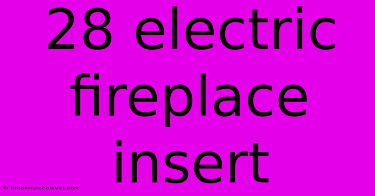 28 Electric Fireplace Insert