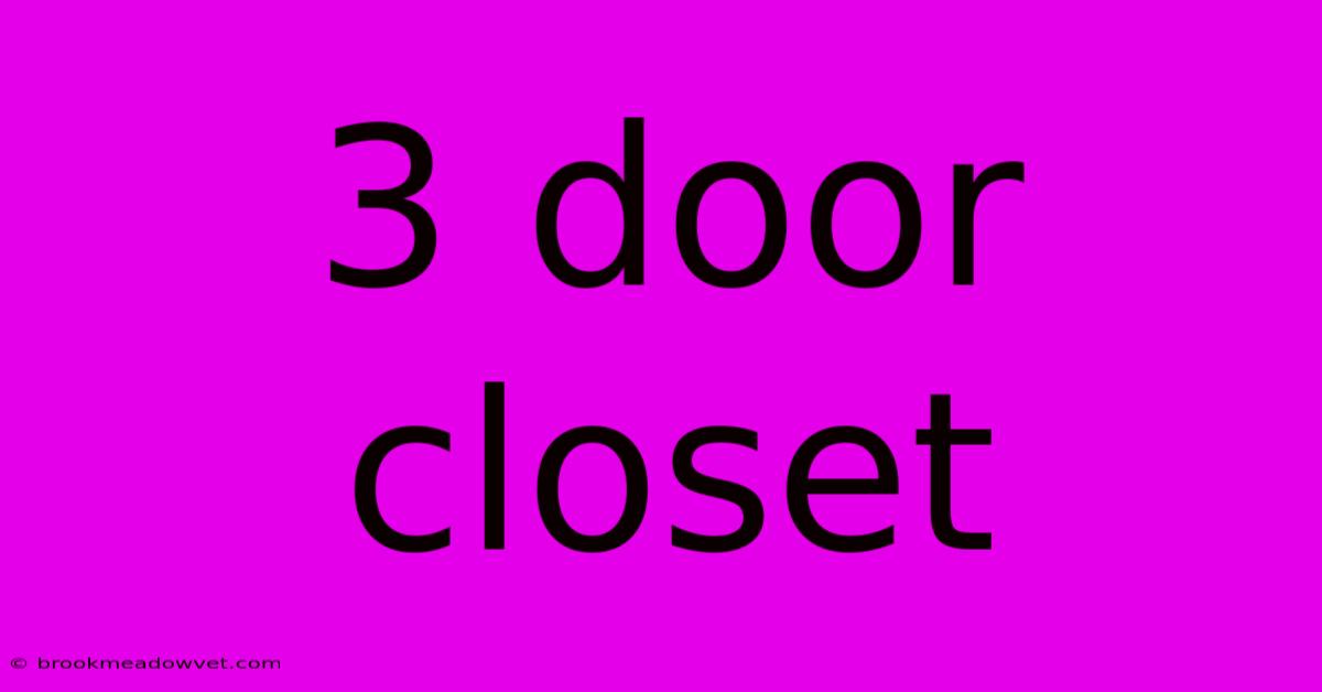 3 Door Closet