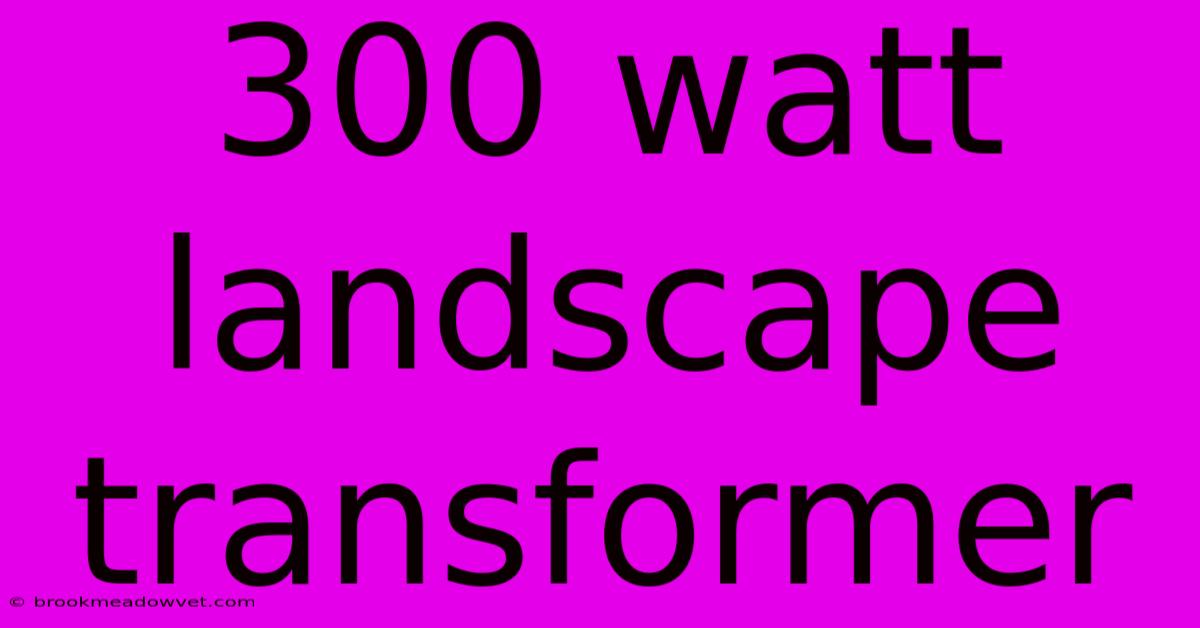 300 Watt Landscape Transformer