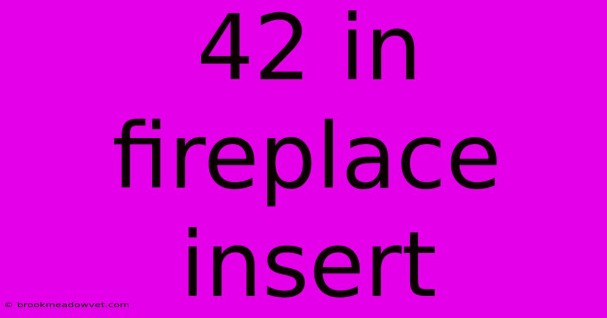 42 In Fireplace Insert