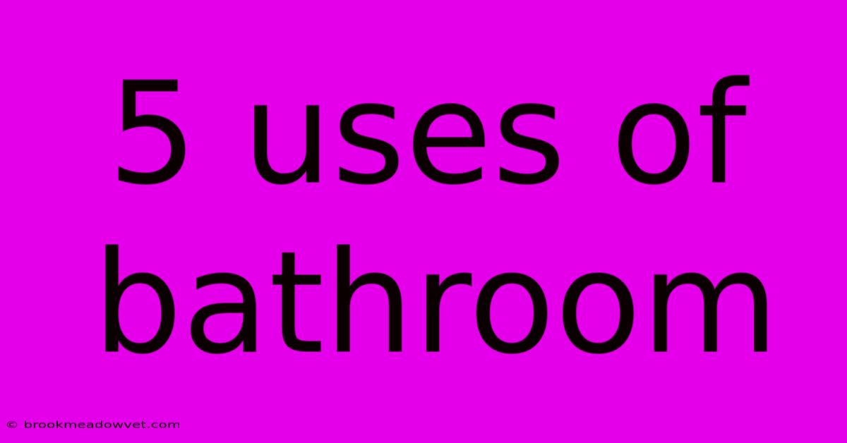 5 Uses Of Bathroom