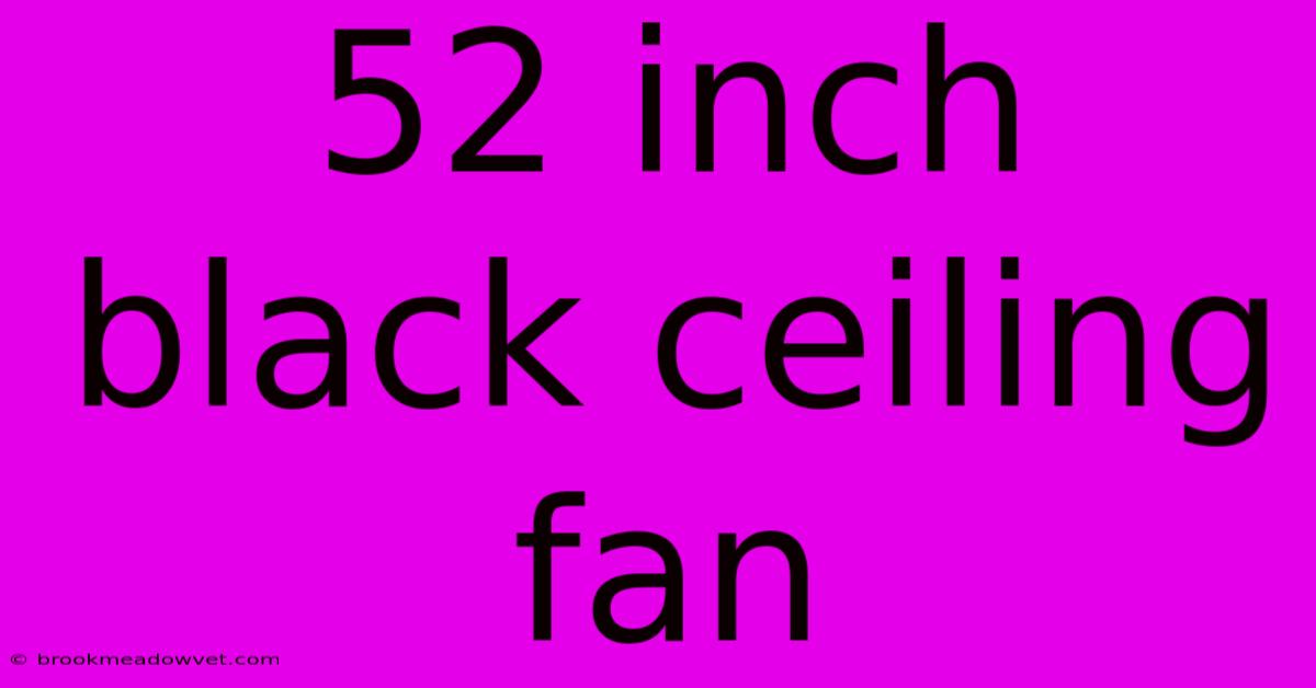 52 Inch Black Ceiling Fan