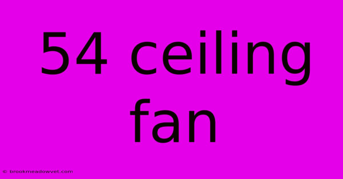 54 Ceiling Fan