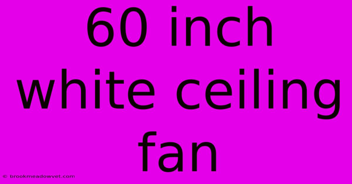 60 Inch White Ceiling Fan