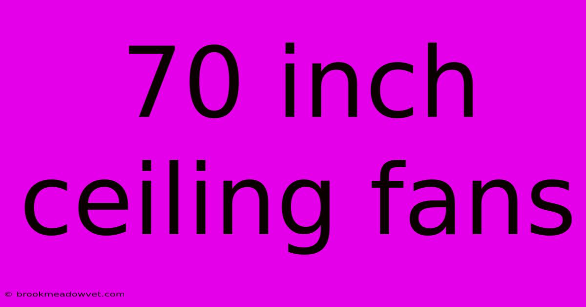 70 Inch Ceiling Fans