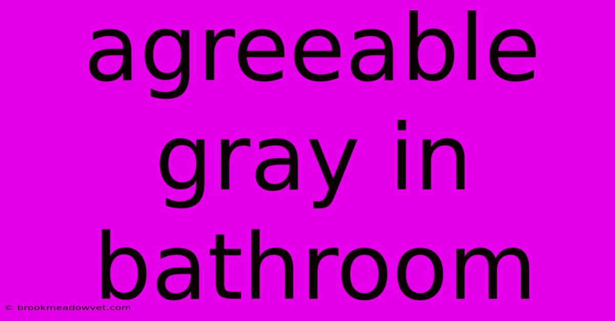 Agreeable Gray In Bathroom