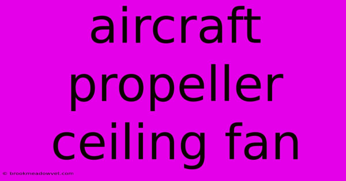 Aircraft Propeller Ceiling Fan