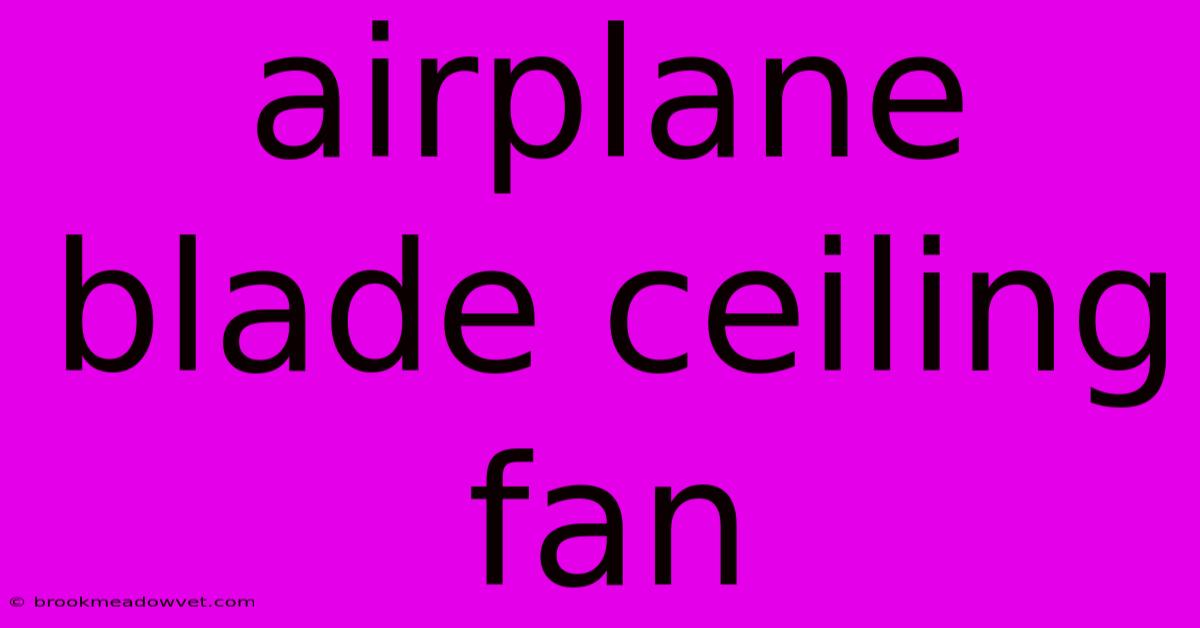 Airplane Blade Ceiling Fan