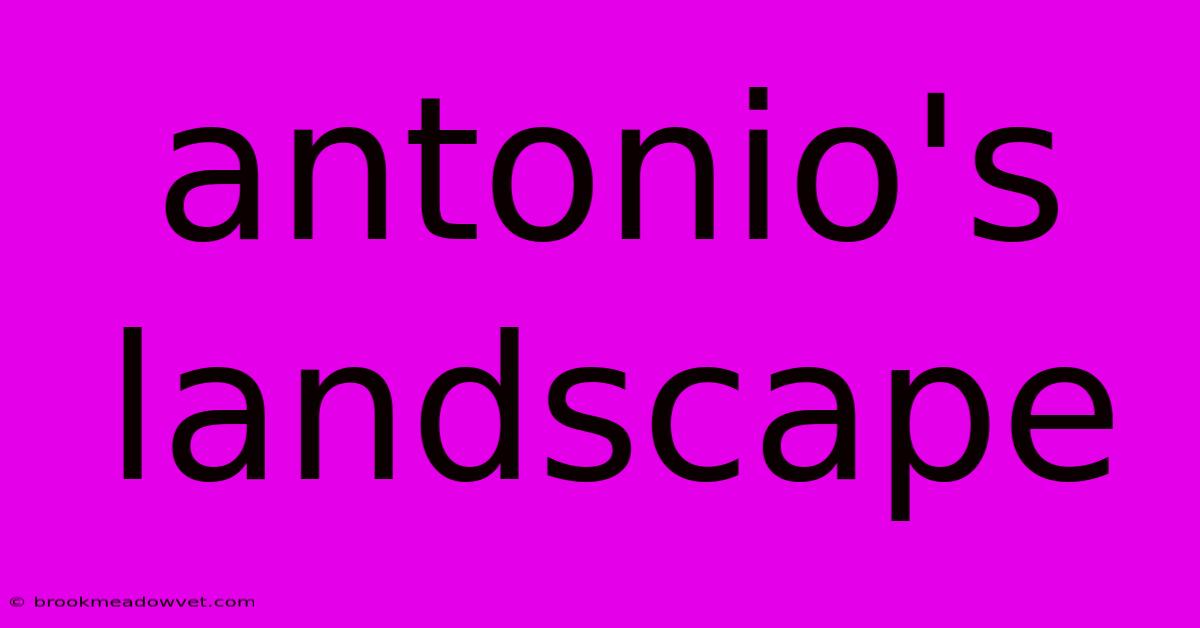 Antonio's Landscape