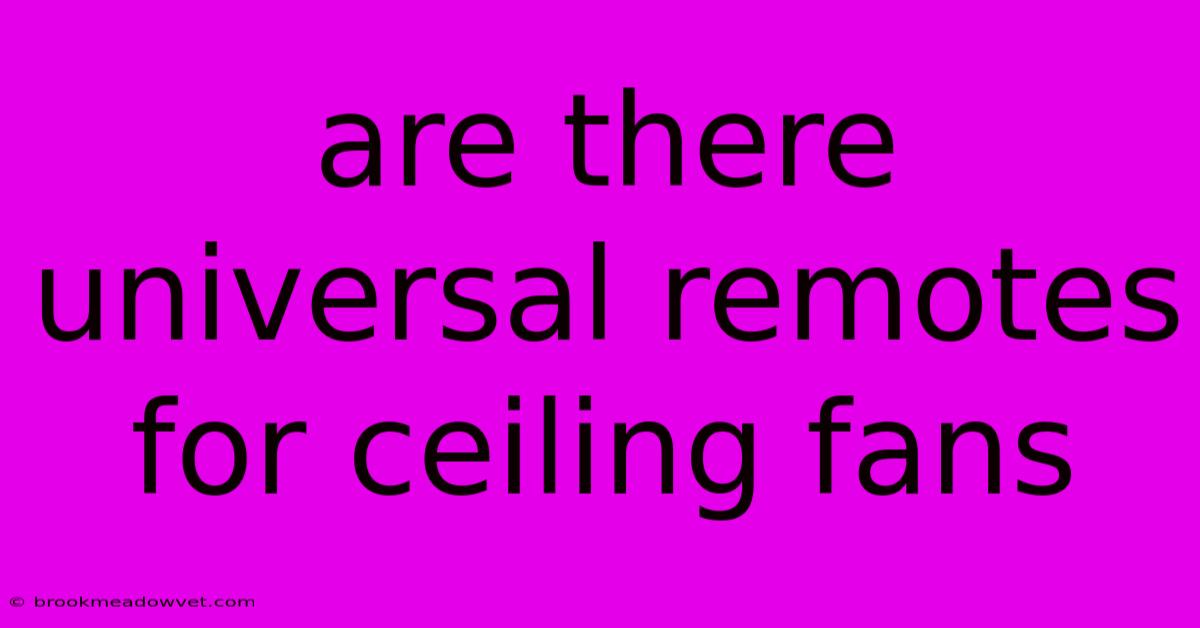 Are There Universal Remotes For Ceiling Fans