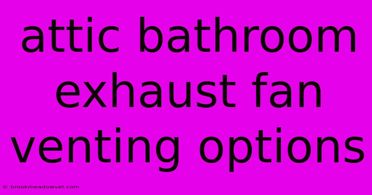 Attic Bathroom Exhaust Fan Venting Options