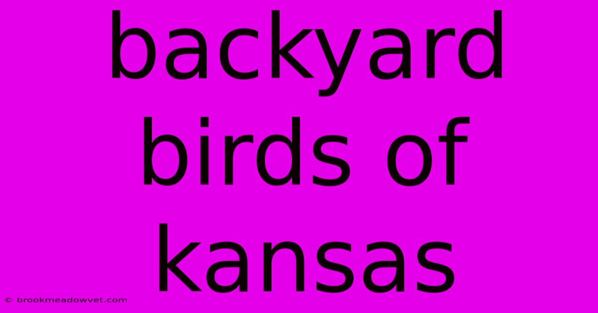 Backyard Birds Of Kansas