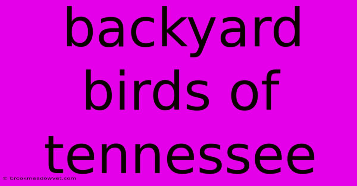 Backyard Birds Of Tennessee