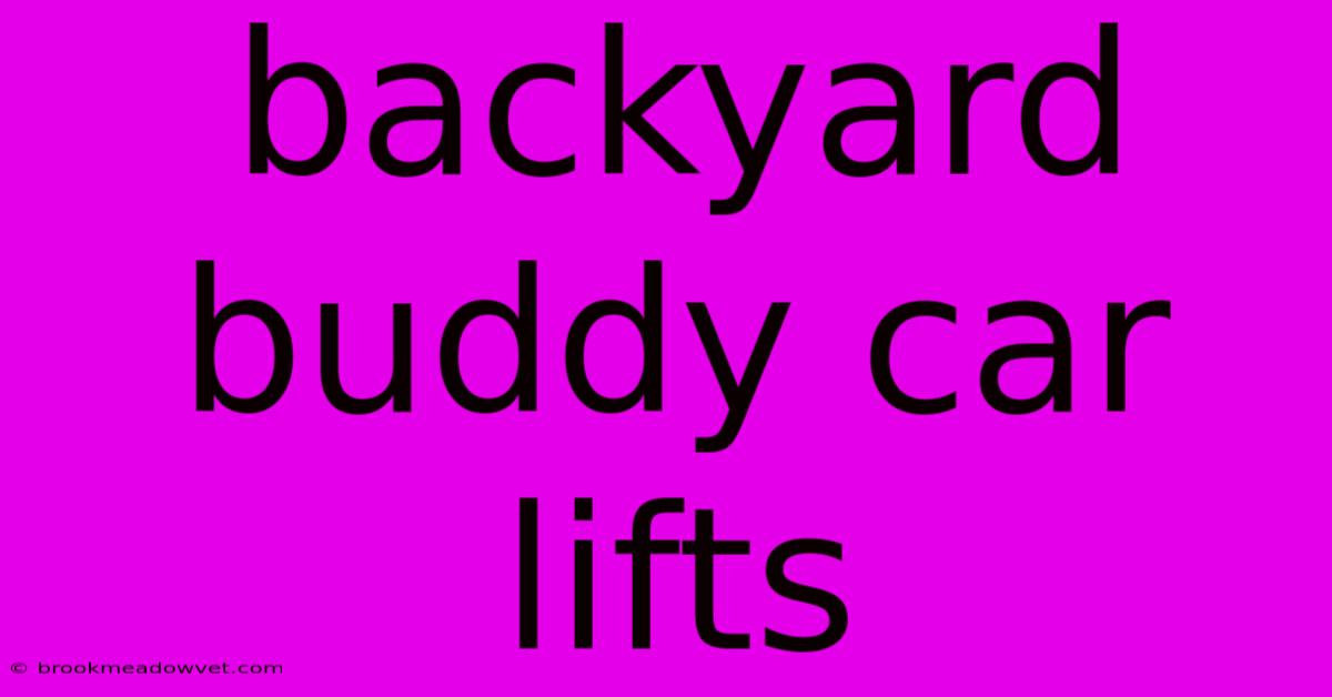 Backyard Buddy Car Lifts