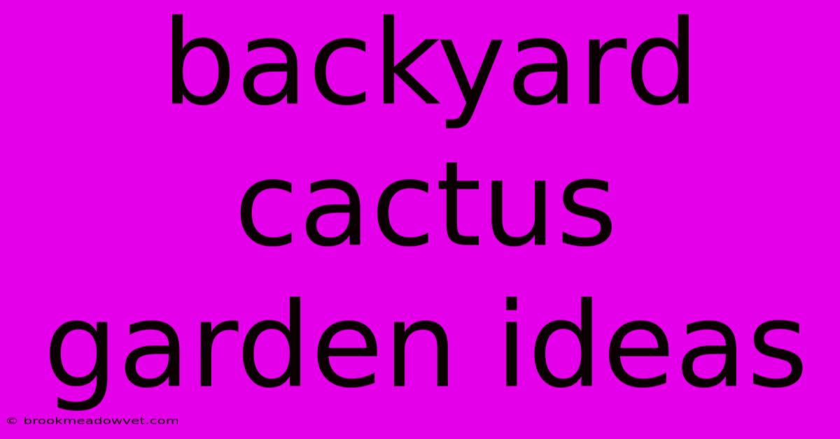 Backyard Cactus Garden Ideas