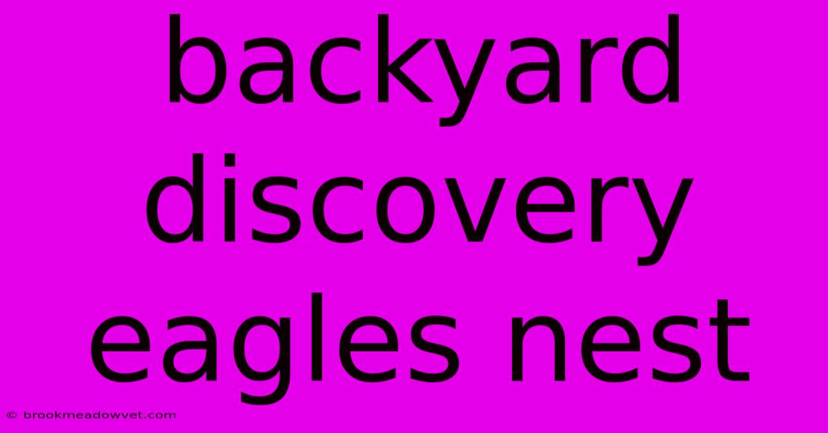 Backyard Discovery Eagles Nest