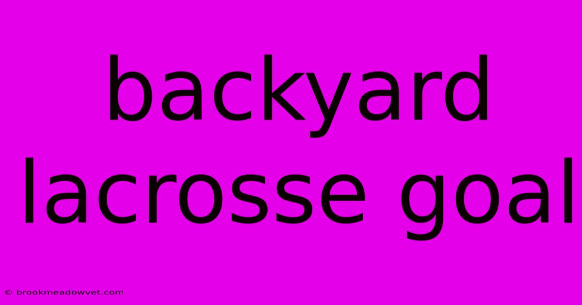 Backyard Lacrosse Goal