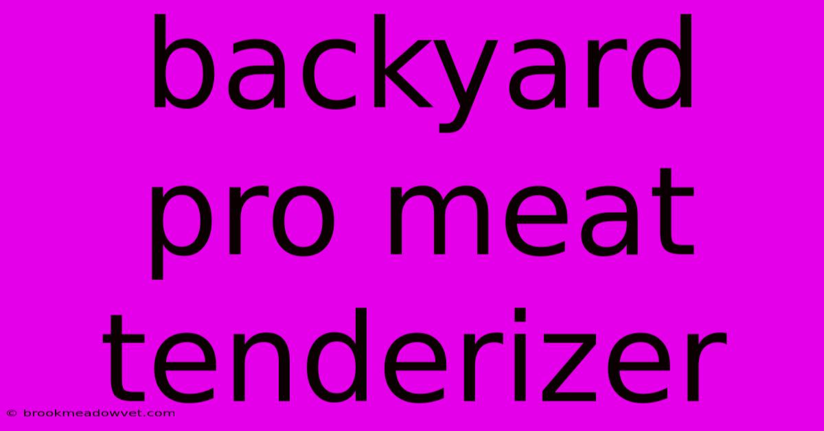 Backyard Pro Meat Tenderizer