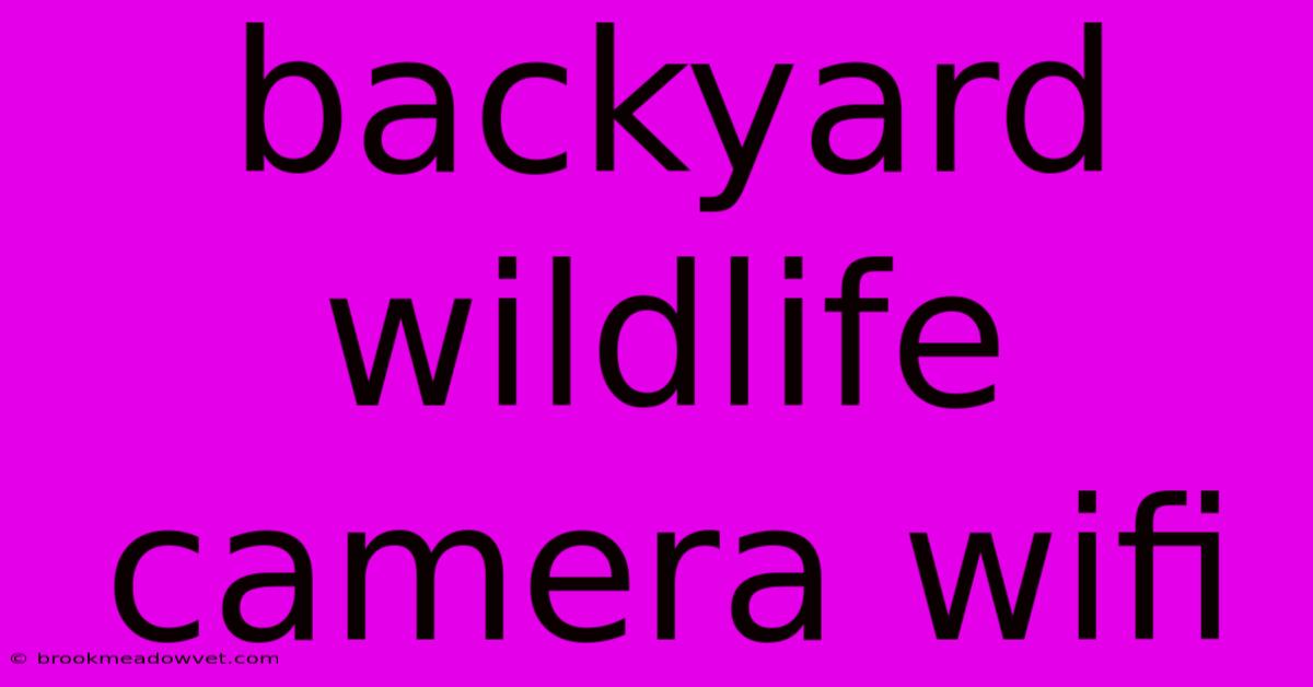 Backyard Wildlife Camera Wifi