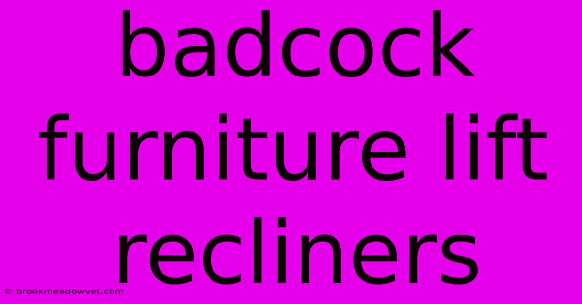 Badcock Furniture Lift Recliners