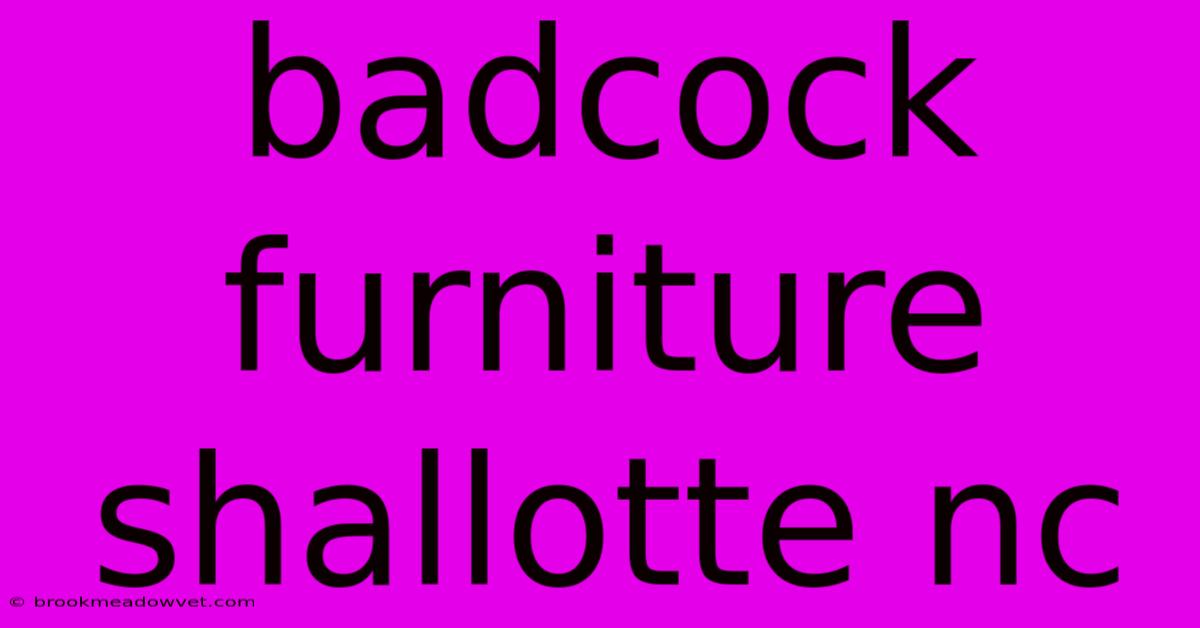 Badcock Furniture Shallotte Nc