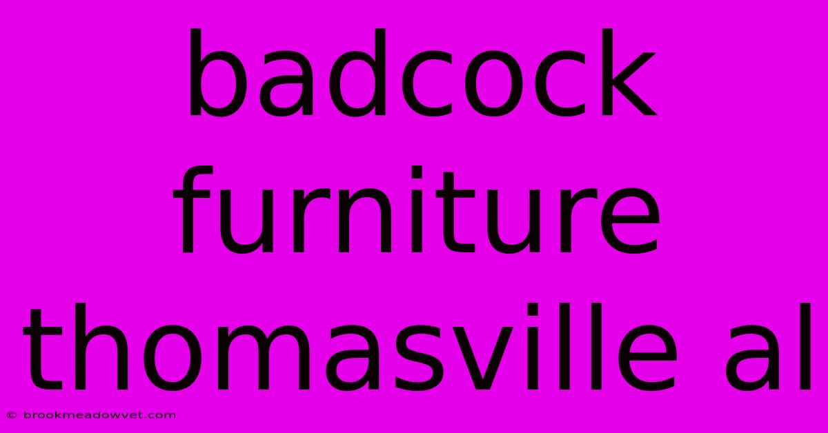 Badcock Furniture Thomasville Al