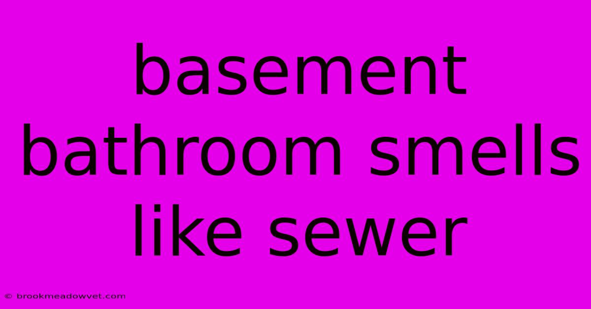 Basement Bathroom Smells Like Sewer