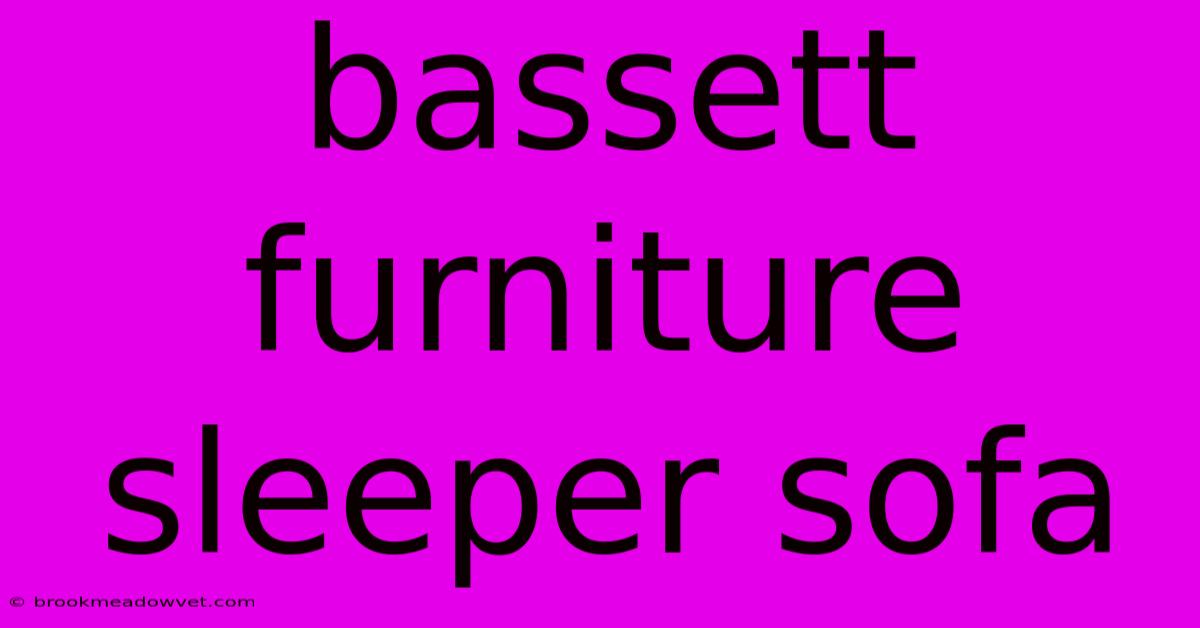 Bassett Furniture Sleeper Sofa