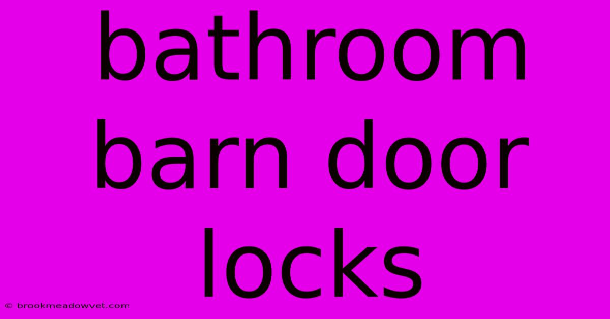 Bathroom Barn Door Locks