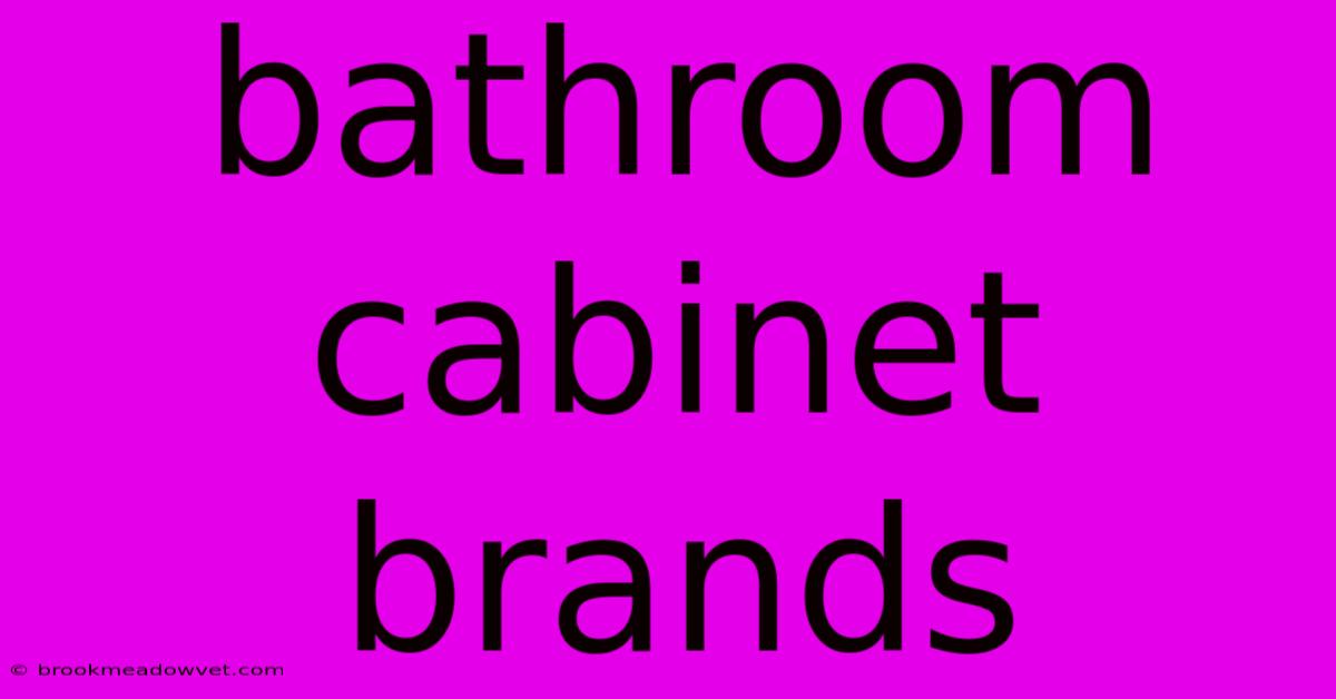 Bathroom Cabinet Brands