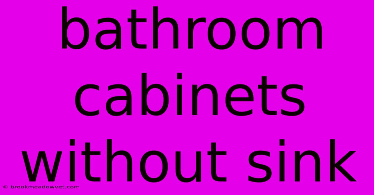 Bathroom Cabinets Without Sink