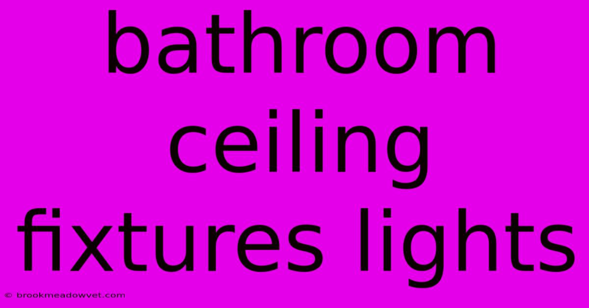 Bathroom Ceiling Fixtures Lights