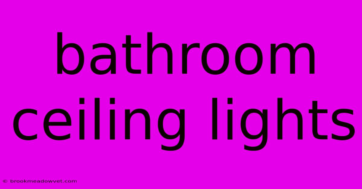 Bathroom Ceiling Lights