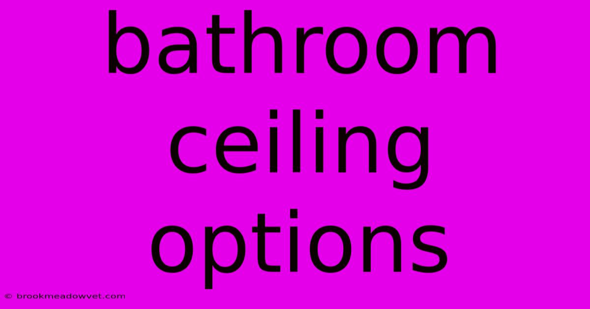 Bathroom Ceiling Options