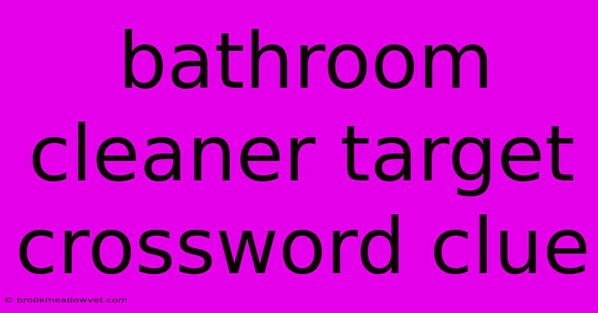 Bathroom Cleaner Target Crossword Clue