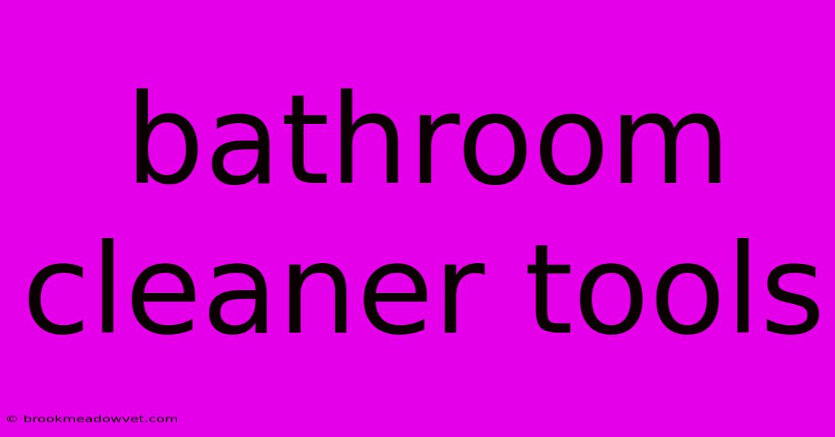 Bathroom Cleaner Tools