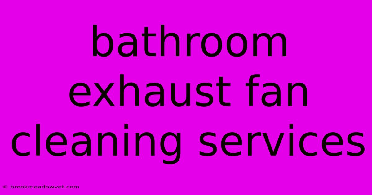 Bathroom Exhaust Fan Cleaning Services