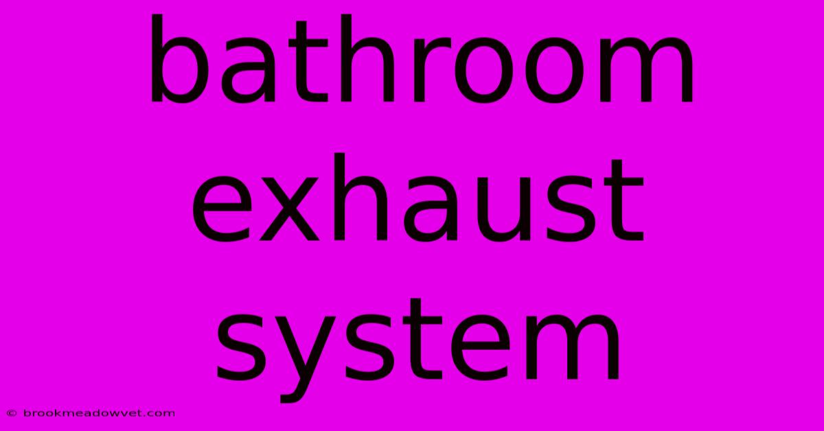 Bathroom Exhaust System