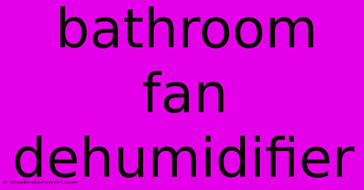 Bathroom Fan Dehumidifier