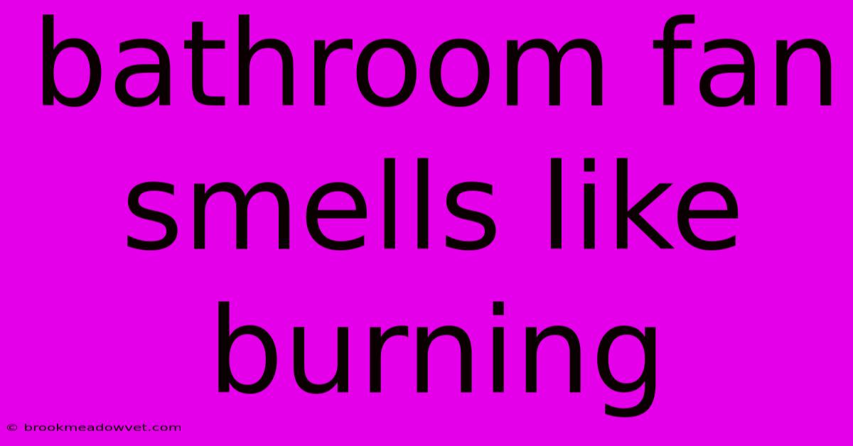 Bathroom Fan Smells Like Burning