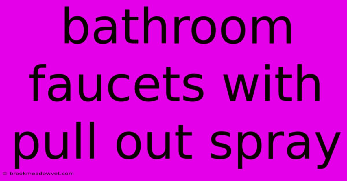 Bathroom Faucets With Pull Out Spray