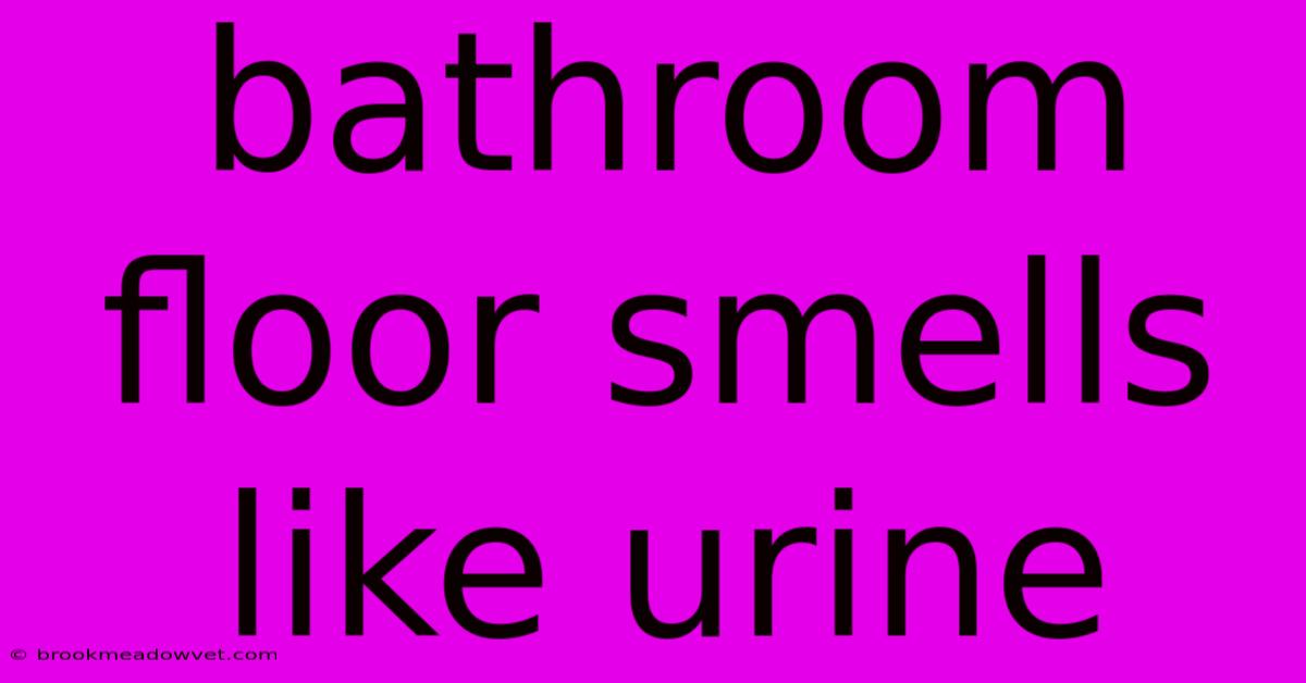 Bathroom Floor Smells Like Urine