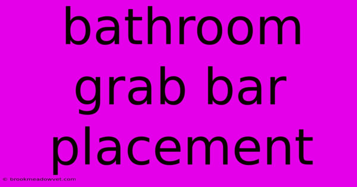 Bathroom Grab Bar Placement