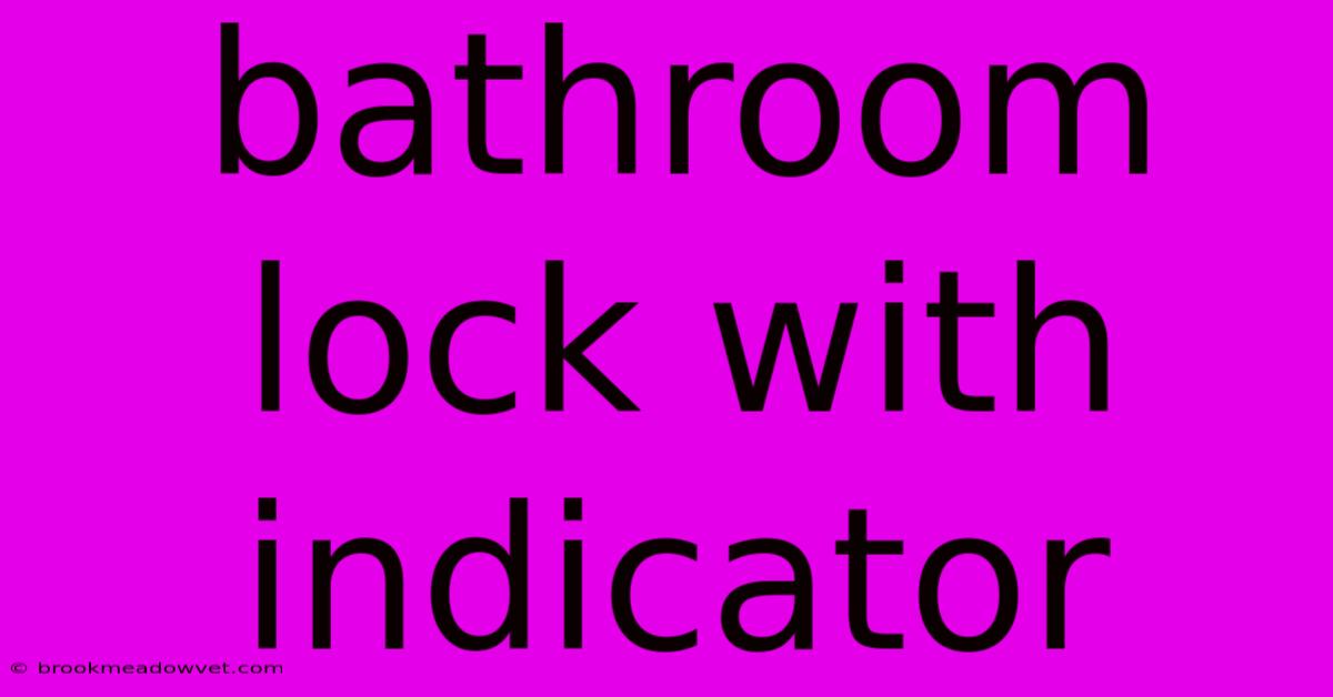 Bathroom Lock With Indicator