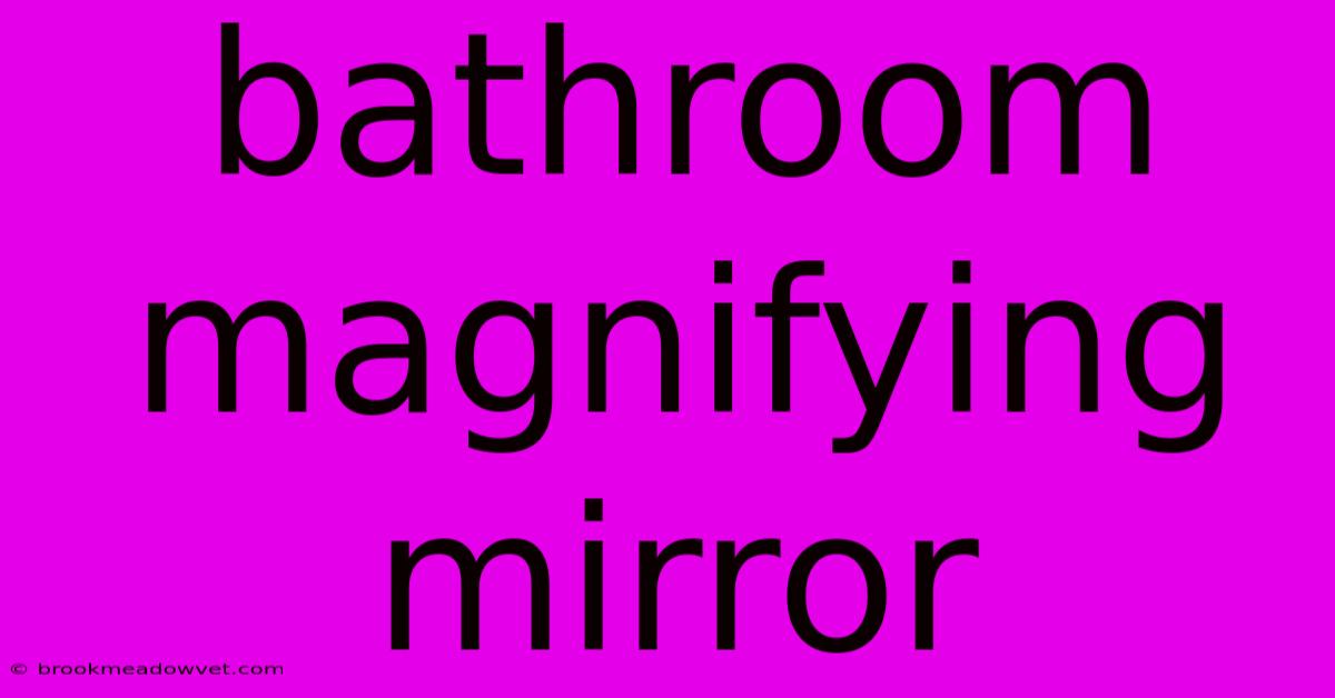 Bathroom Magnifying Mirror