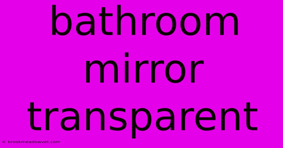 Bathroom Mirror Transparent