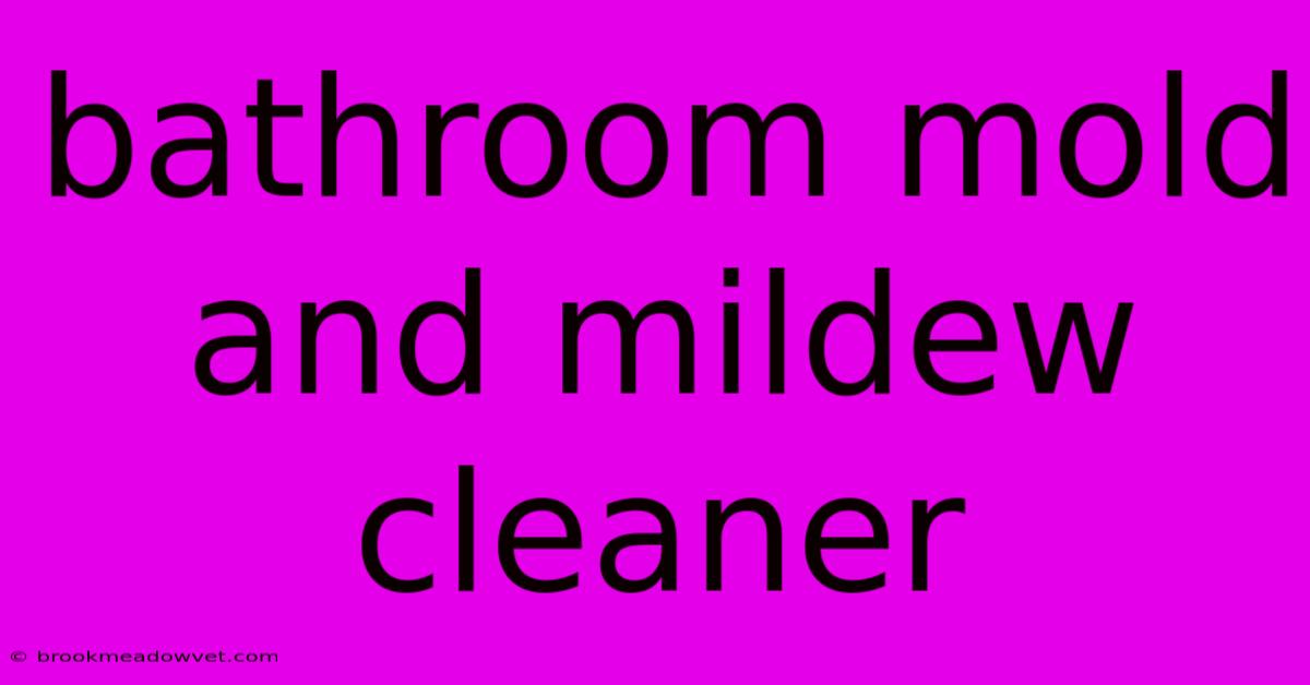 Bathroom Mold And Mildew Cleaner