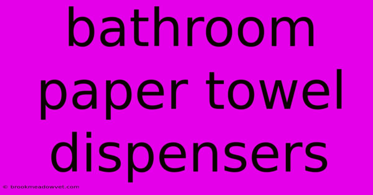 Bathroom Paper Towel Dispensers